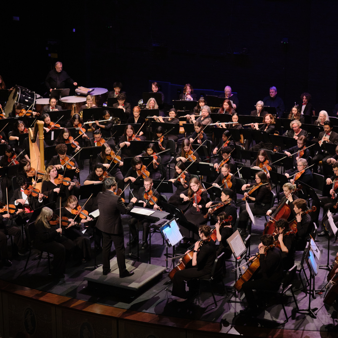 Elkhart County Symphony Orchestra rebelSYMPHnoire